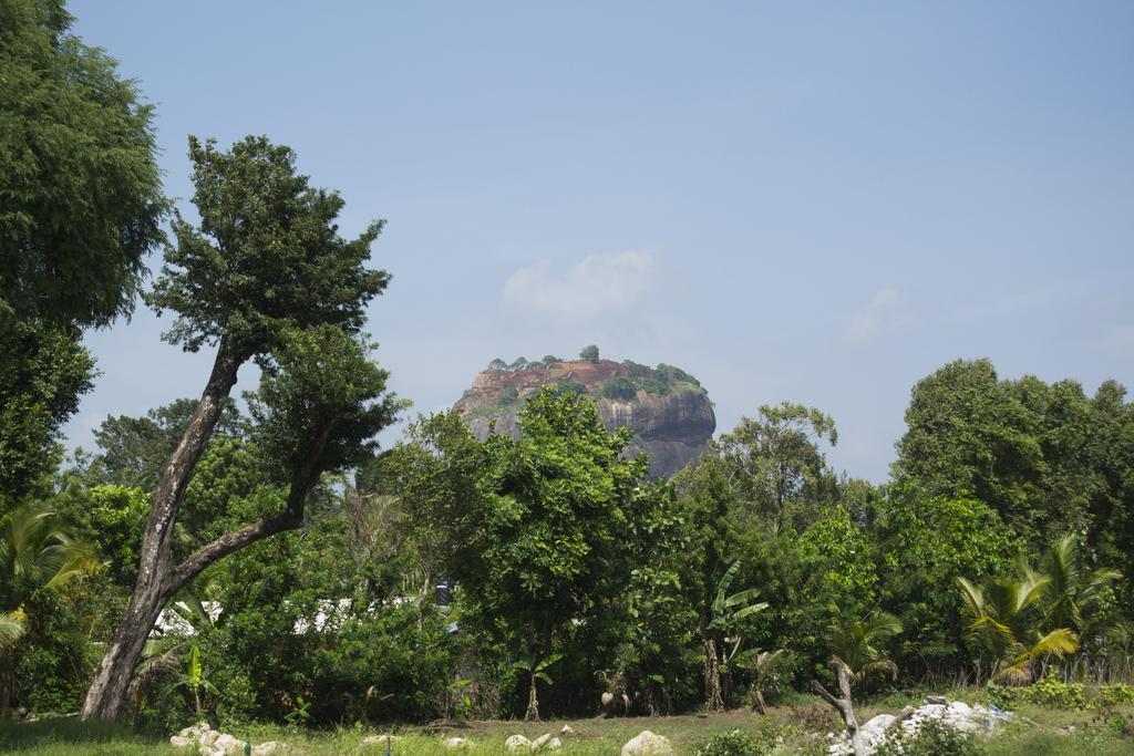 Shady Mango Villa Sigiriya Exterior foto